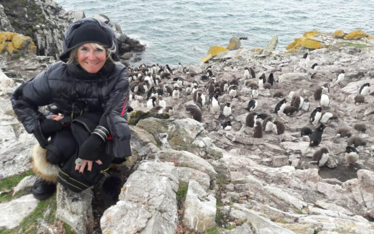 Magiczna kraina lodu